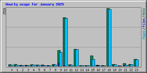 Hourly usage for January 2025