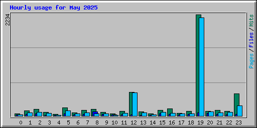 Hourly usage for May 2025