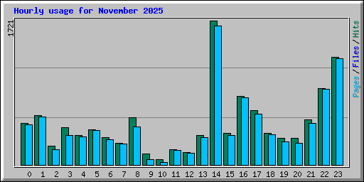 Hourly usage for November 2025