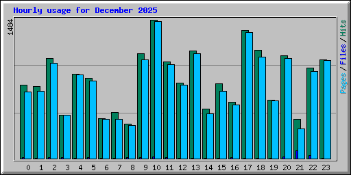 Hourly usage for December 2025